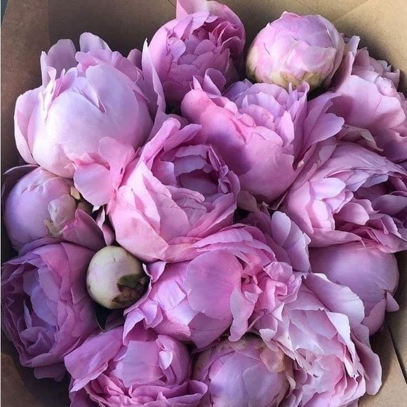 30%OFF on 2 OR MORE ITEMS - Picture 15 of 16